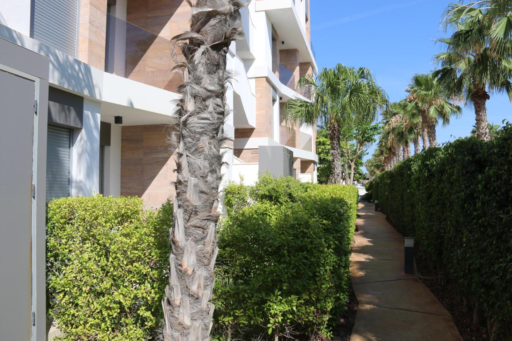 Luxusni Apartman Ve Spanelsku, Cabo Roig Орихуела Екстериор снимка